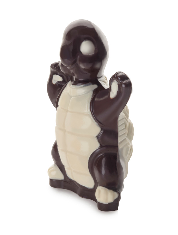 قالب سه بعدی لاک پشت ایبیلی