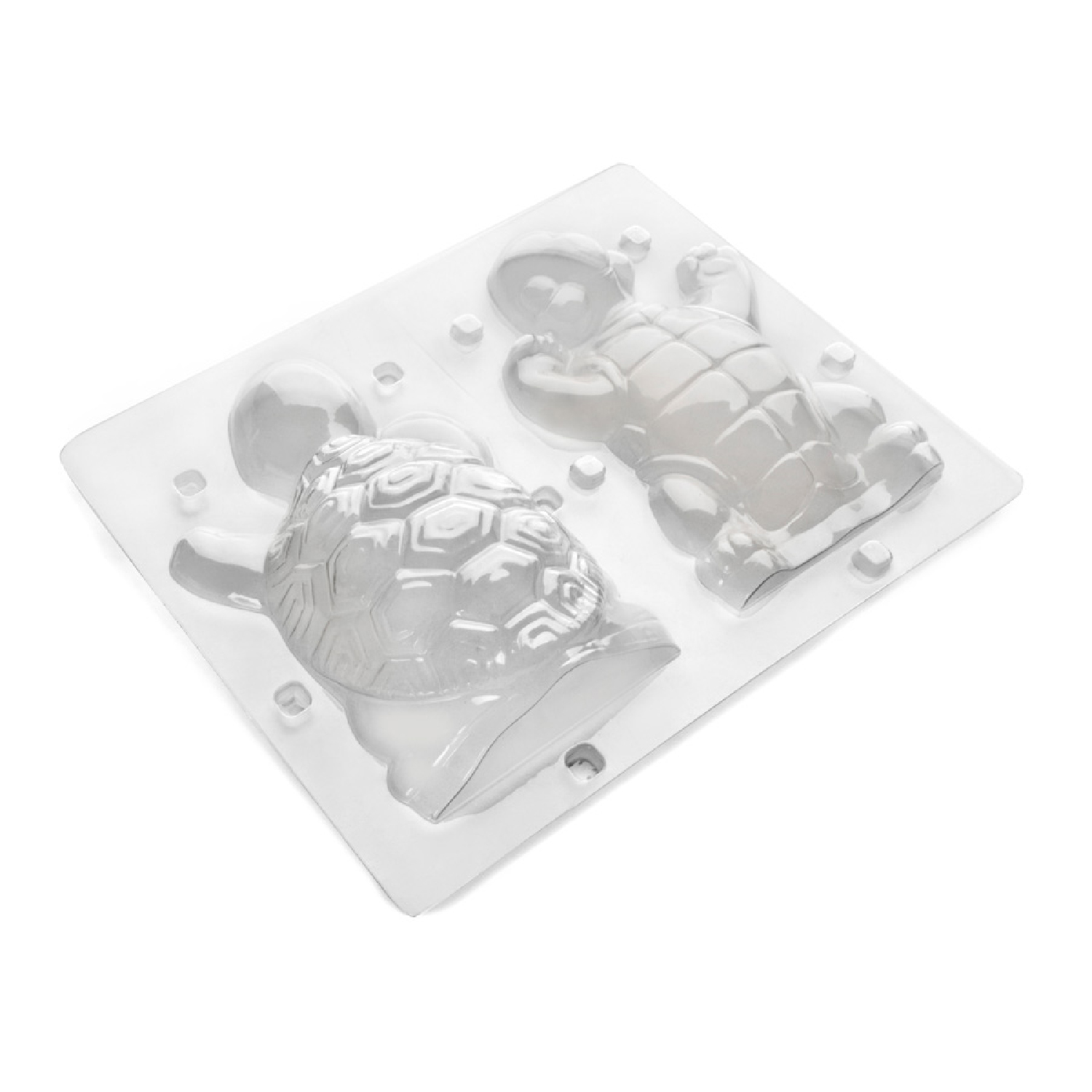 قالب سه بعدی لاک پشت ایبیلی