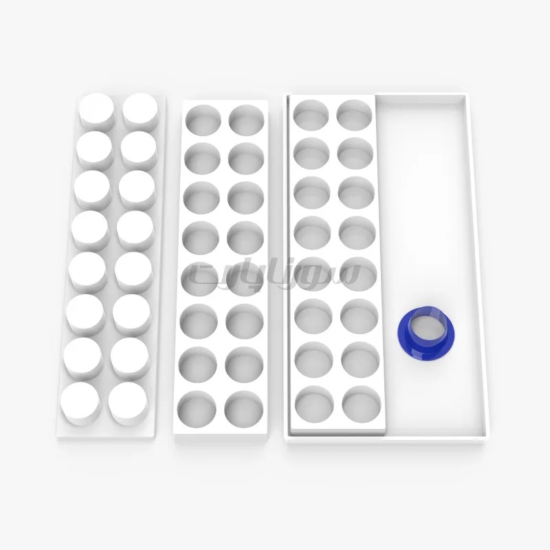 میگنوپورشن دایره